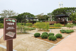 경기도, 치유농업 활성화...시범운영 확대
