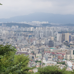 전세사기 심각한데…"보증보험 지급 거절 급증"