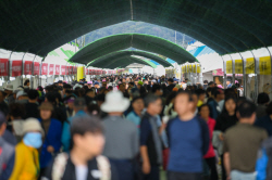 ‘2023경북영주 풍기인삼축제’ 관광객들로 