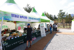 강원세계산림엑스포, 10일은 영월군민의날