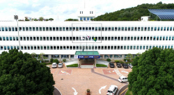 창녕군, 우포따오기 도입 15주년...26마리 야생 방사