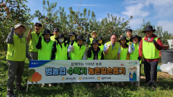 경북농협, 수확기를 맞아 농촌일손돕기 실시