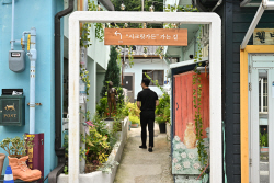 정선 고한, 
