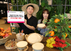 "소비와 기부를 동시에"…LG헬로비전, ‘2023년 햅쌀 기획전’ 진행