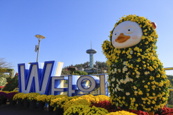 완도군, 20일부터 