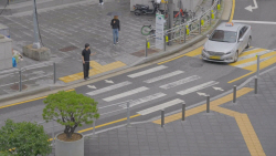 보행자 10명 중 8명, 횡단보도 건널 때 