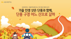"단풍과 함께 매출 껑충…내장산·주왕산·오대산·월악산 매출 증가"