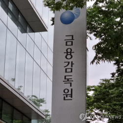 금감원, 1261개사에 ‘감사인 지정’ 통지…포스코홀딩스·LG화학 등 포함