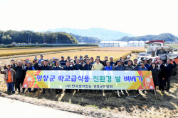 평창군, "친환경 벼 7ha 잘 키워 수확합니다"