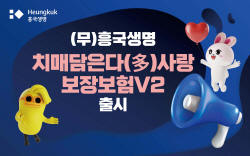 흥국생명, 