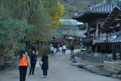 용인특례시, ‘2023 용인 가을빛 야간 마실’  성료