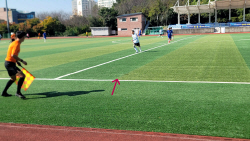 전남생활체육대축전 축구 경기장 잔디 불량으로 경기 지장