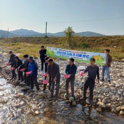 봉화군,관내 주요하천에 ‘다슬기 치패