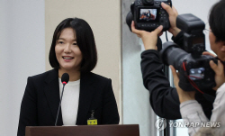 국감 마침표 찍은 네카오…기술탈취 갈등 불씨 여전
