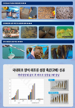 ‘해조류 성장 유도’ 친환경 성분... 바다영향제 ‘오션팜’ 눈길