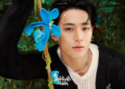 세븐틴 민규, 오늘(30일)부터 스케줄 복귀! “상태 크게 호전”