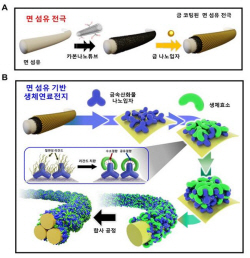 고려대·강원대 연구팀, 고에너지·고안정성 생체연료전지 개발