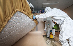 서울에서도 잇따르는 빈대 신고…‘방제 비상’