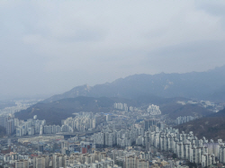 아파트 전세시장, 역전세 우려 딛고 상승 기류타나?