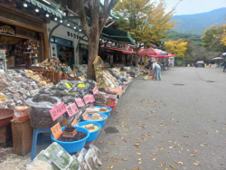 예산군, 민생 6대 분야 충남도 합동단속·지도강화 추진