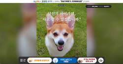 경기도,  동물 입양 문화 확산 공익캠페인 진행