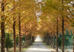 전남도-도의회, 전국 첫 
