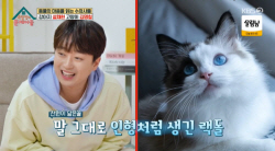 ‘옥문아’ 수의사가 본 ‘똘똘하고 친화적인’ 이찬원 동물 닮은꼴은?