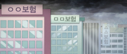가이드라인 적용한 실제 성적 열어보니...빅5 손보사 