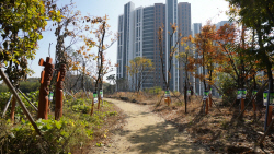 오산시, 5억원 투입 오색둘레길 조성 완료