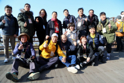 섬산련, 