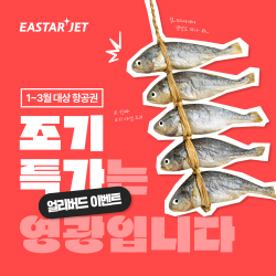 이스타항공, 내년 1~3월 항공권 얼리버드 프로모션 실시