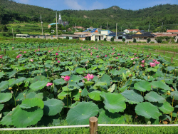 신안군, 주민에 ‘친환경세제