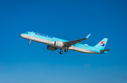 대한항공, 올겨울 일본 오이타 노선 운항 한시적 재개