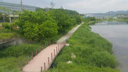 이상일 용인시장, "포곡읍 등 수변구역 난개발 주장한 민주당 장정순 시의원  사과해야"
