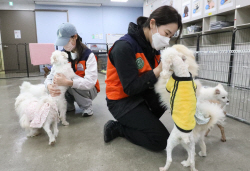 항공업계 