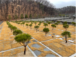 용인도시공사, ‘용인 평온의 숲’ 가족형 수목장 추가 조성