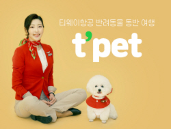 티웨이항공 "지난해 반려동물 약 3만3000마리 수송"