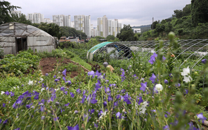 비수도권 그린벨트 대폭 해제…농지 수직농장 허용 추진