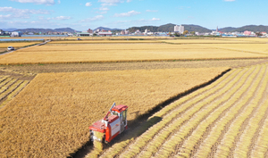 전국 논밭 경지면적 11년째 줄었다…논 1.5%↓·밭 0.6%↓