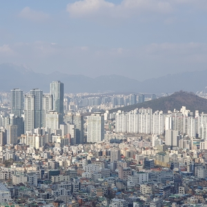 거래량·실거래가·매수세 반등, 집값 바닥론 ‘솔솔’