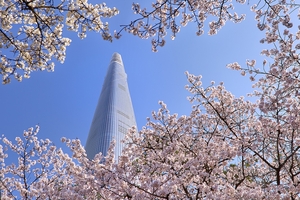 [CHECK-IN 호텔가] 봄꽃 구경도 폼나게~ ‘벚꽃명소 품은’ 호텔 어디?