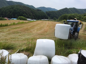 진안군, 국내 조사료 생산 확대 ‘집중’