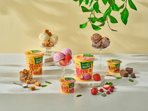 “후식도 식물성” 풀무원지구식단, 아이스크림·미니케이크 출시
