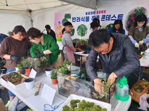 대구 동구, 2024년 불로화훼 봄꽃축제 개최
