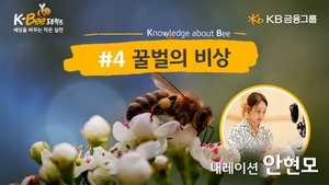 KB금융지주, 세계 벌의 날 맞이 ‘꿀벌의 비상’ 영상 공개