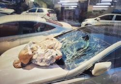 북한, 엿새 만에 대남 오물풍선 살포…서울 곳곳에서 수십건 신고
