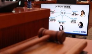법사위, ‘尹탄핵청원’ 2차 청문회 연다…김 여사 의혹 다뤄