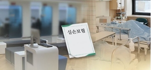밥그릇 싸움 속 ‘실손청구 간소화’ 난항…뾰족한 수 없는 당국