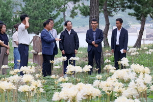 임실군, 부안 위도서 경관 조성 우수사례 벤치마킹