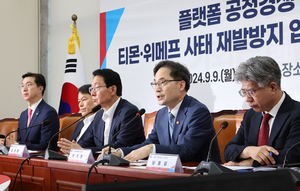 제2의 티메프 사태 막는다…공정거래법·대규모유통업법 개정 추진